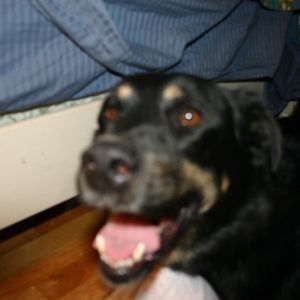 Meet your Posher, Trudy